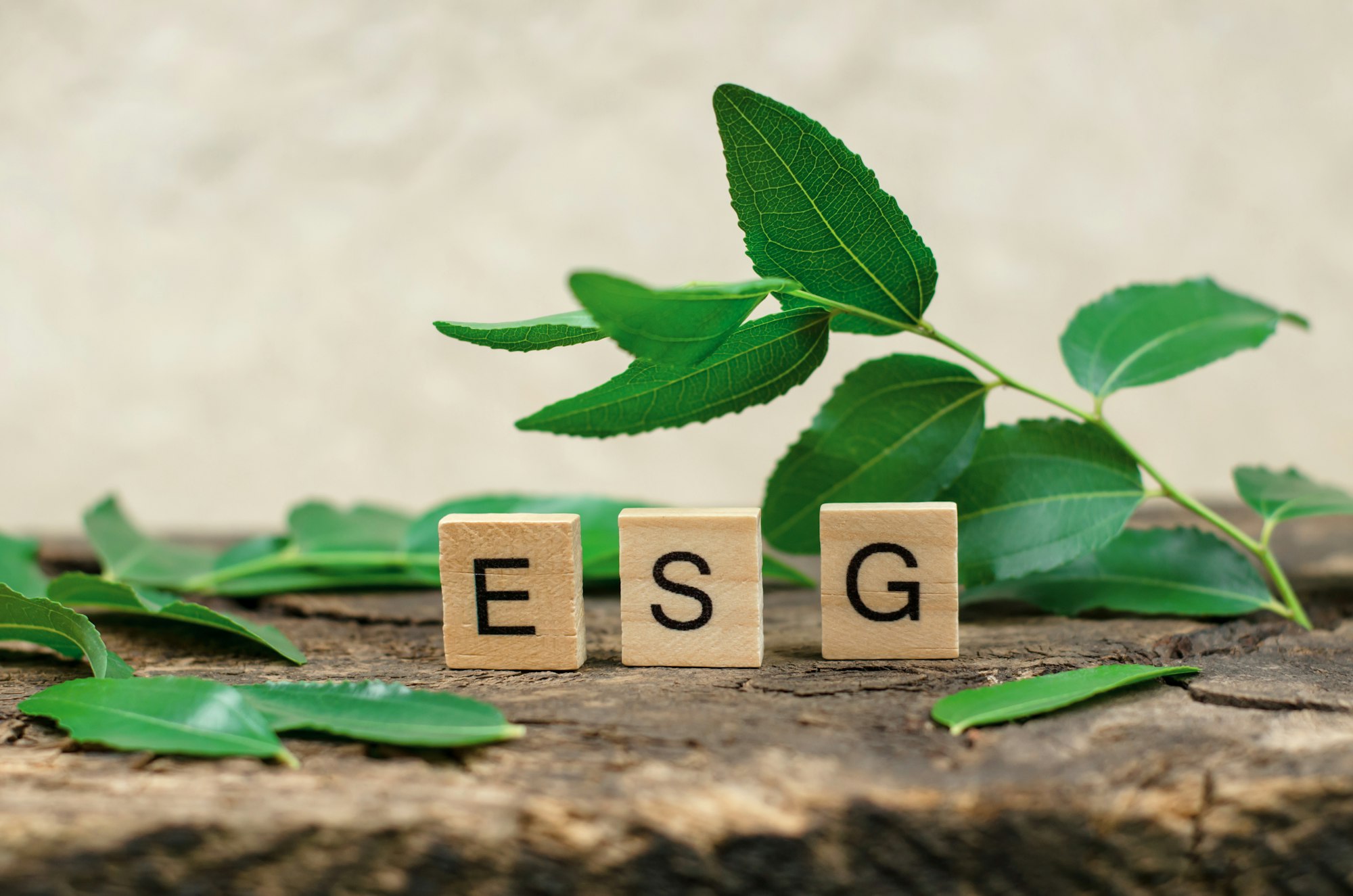 ESG abbreviation on wooden cubes, on a wooden board framed. Environmental Social Governance.